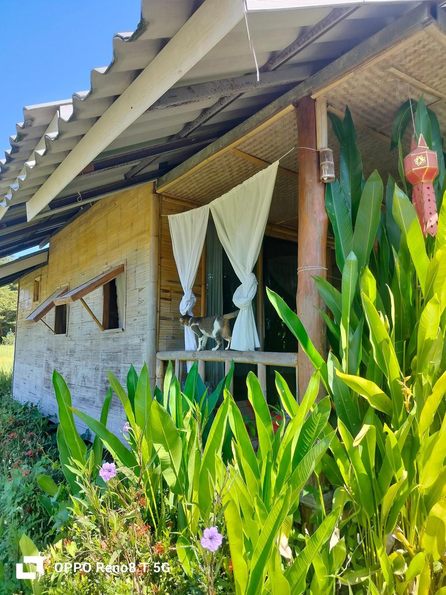 Tulip Resort פאי מראה חיצוני תמונה